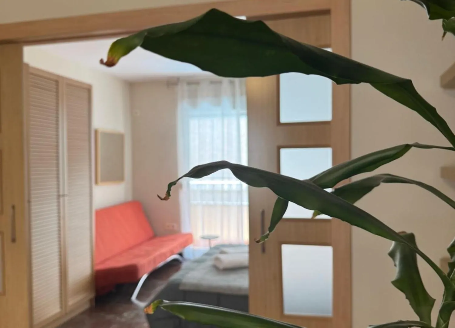 Constitucion Suite Confort D Granada 0*,  Spain